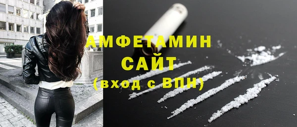 мет Инсар