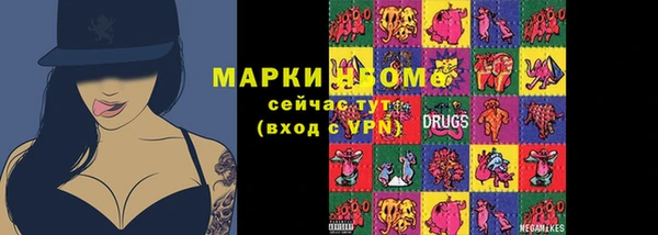 трава Инта