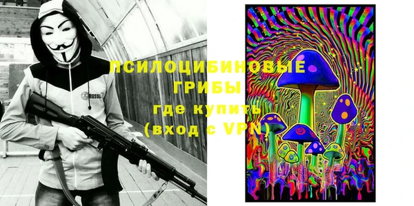 хмурый Каменка