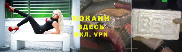 трава Инта