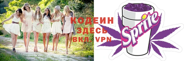 мет Инсар