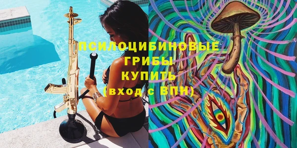 трава Инта
