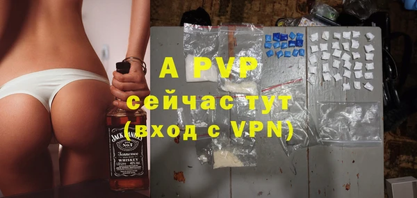 трава Инта