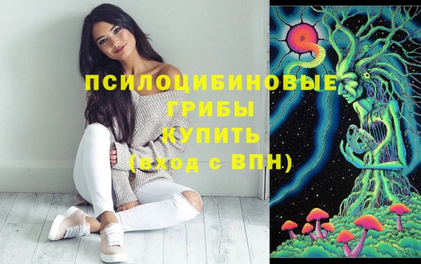 трава Инта