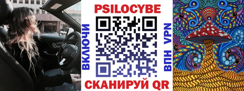 Купить где  Волгодонск  Псилоцибиновые грибы GOLDEN TEACHER 