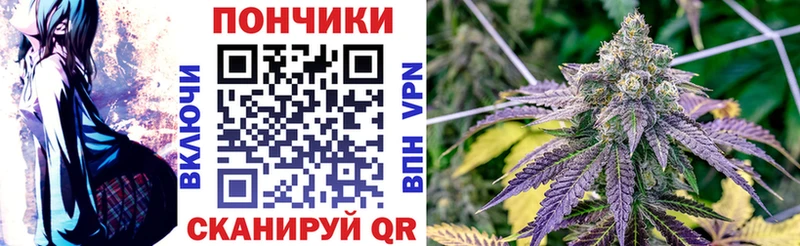 Купить где  Волгодонск  Бошки марихуана Amnesia 